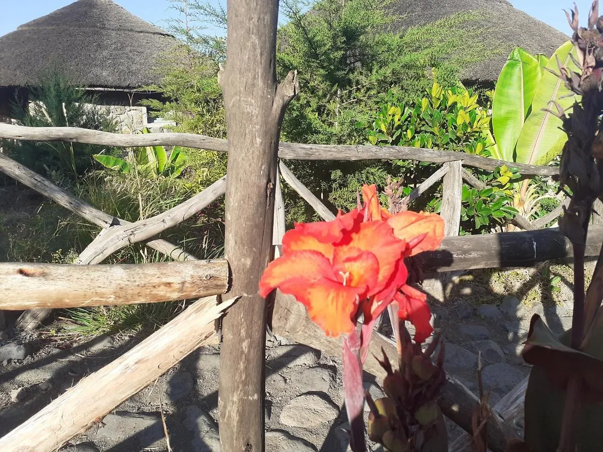 Bethan Amba Ecovillage Lalibela Lodge